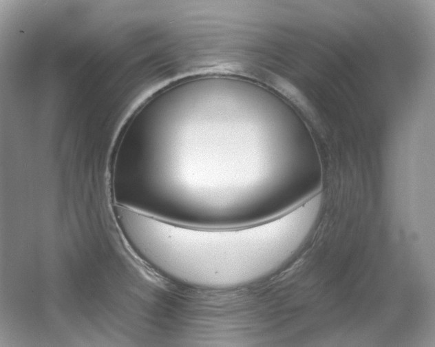 X0000065241332200602170944
