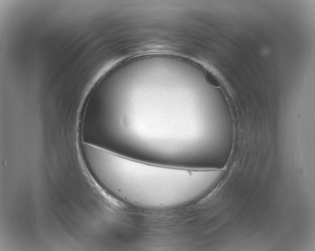 X0000065241333200602170944