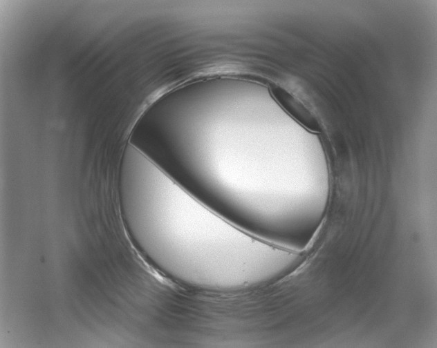X0000065241337200602170944