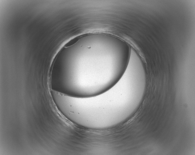 X0000065241340200602170944