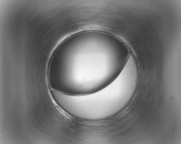 X0000065241342200602170944