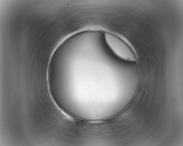 X0000065241343200602170944
