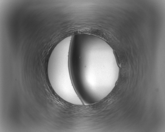 X0000065241345200602170943