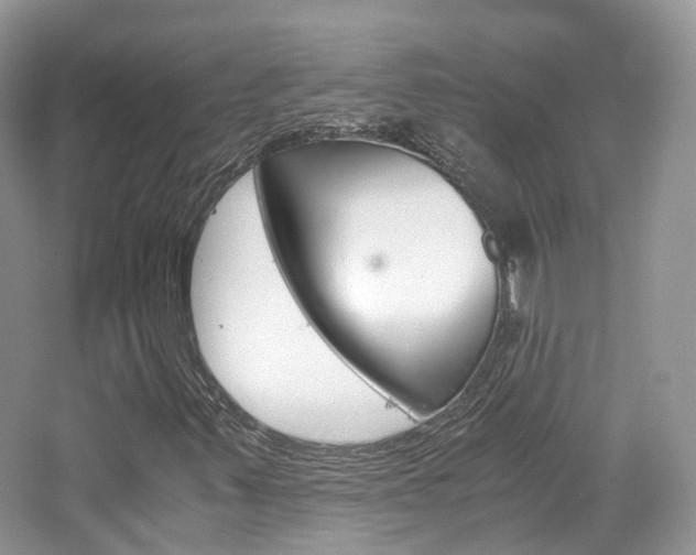 X0000065241347200602170943