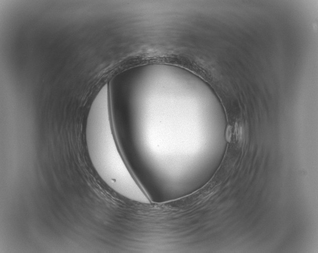 X0000065241348200602170943