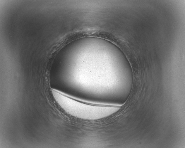 X0000065241349200602170943