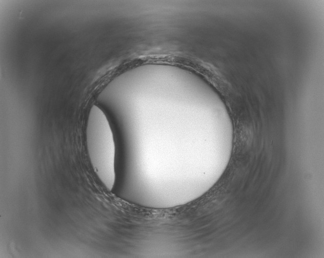 X0000065241350200602170943