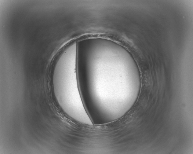 X0000065241352200602170943