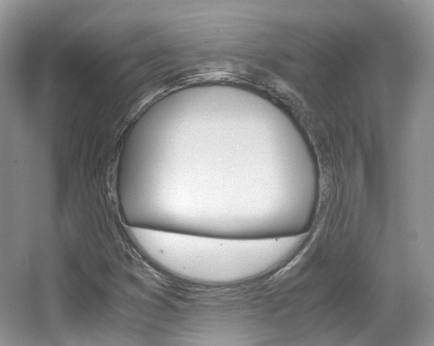 X0000065241353200602170943