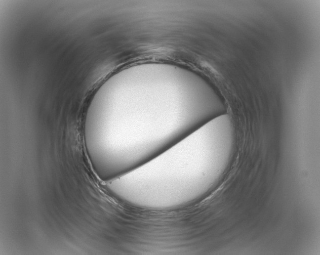 X0000065241354200602170943