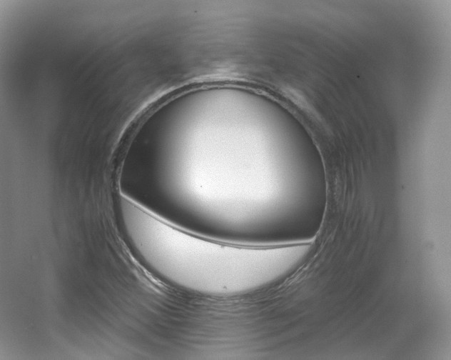 X0000065241356200602170943