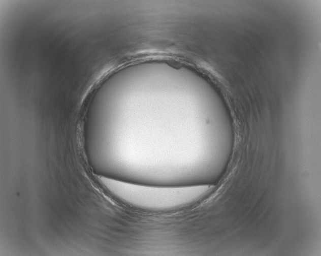 X0000065241357200602170943