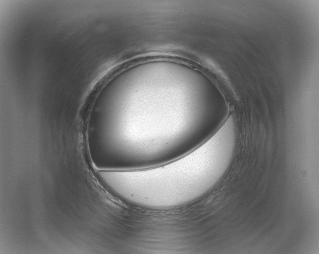 X0000065241360200602170943