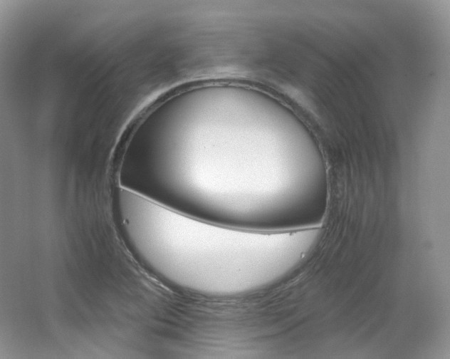 X0000065241364200602170943