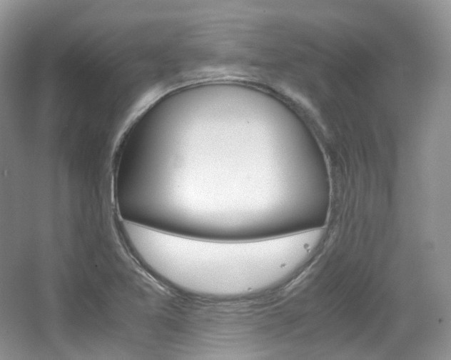 X0000065241365200602170943