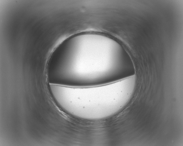 X0000065241367200602170943