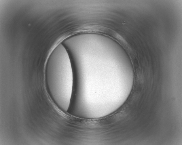 X0000065241370200602170943
