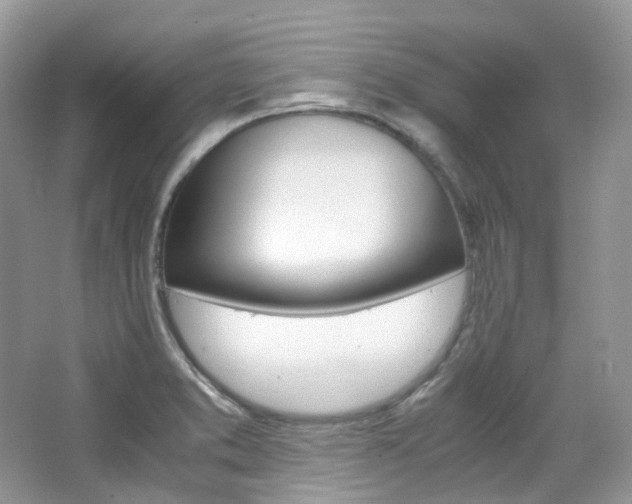 X0000065241373200602170943