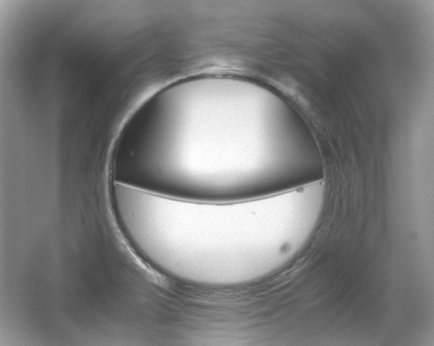 X0000065241375200602170943