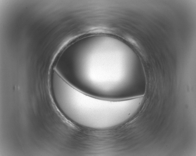X0000065241376200602170943