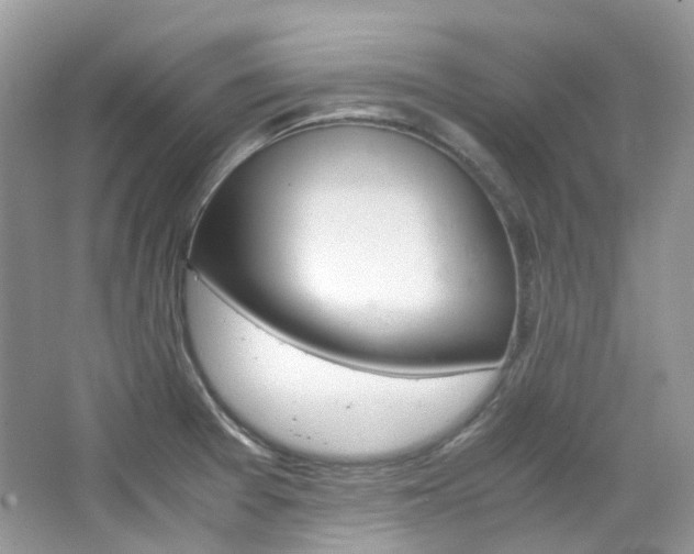 X0000065241377200602170943