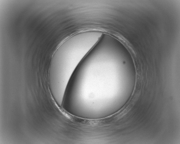 X0000065241385200602170943
