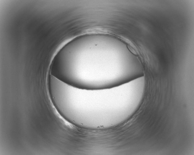 X0000065241387200602170943