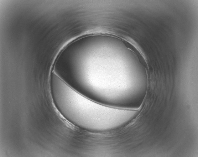 X0000065241388200602170943