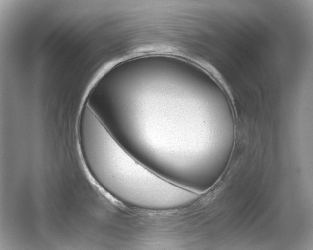 X0000065241389200602170943