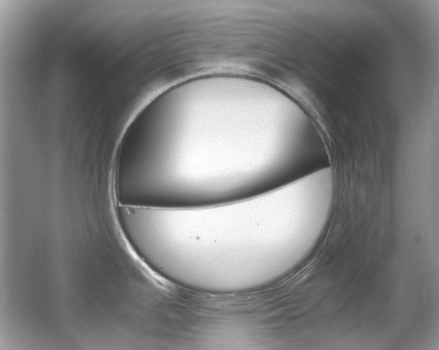 X0000065241391200602170943