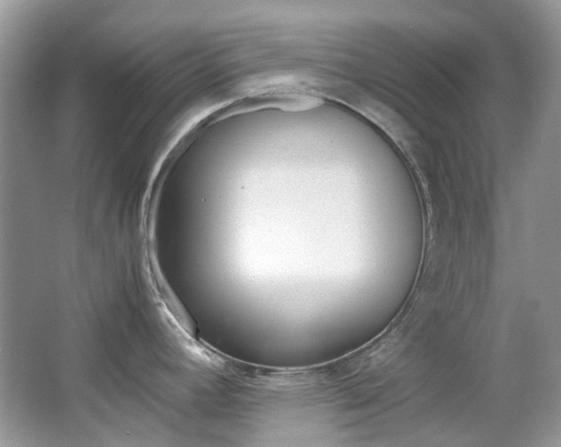 X0000065241392200602170943