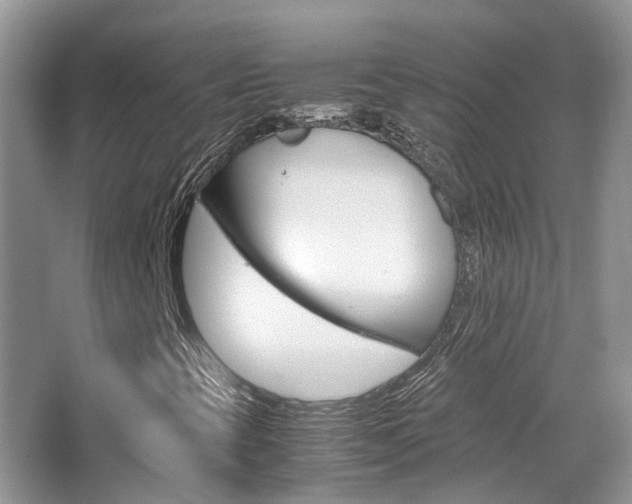 X0000065241393200602170942