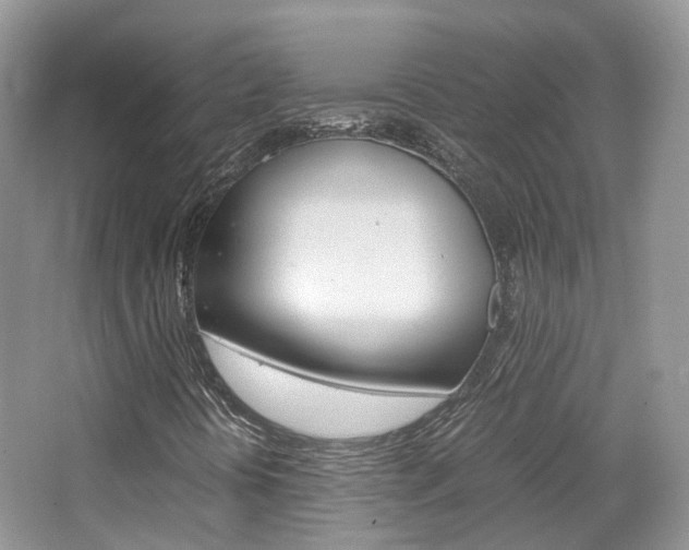 X0000065241394200602170942