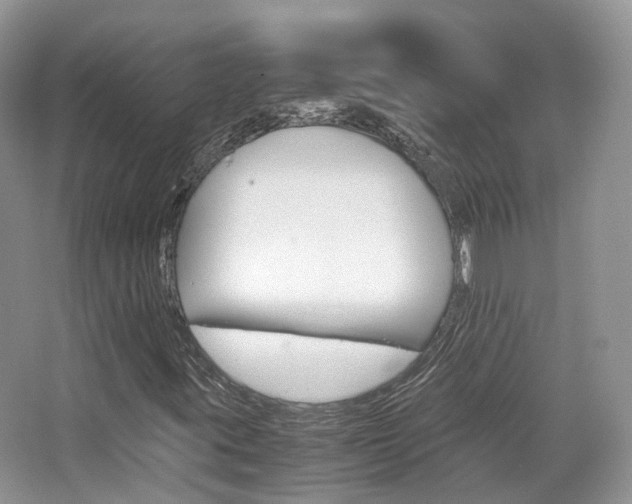 X0000065241395200602170942