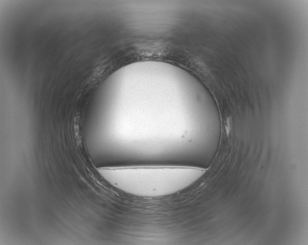 X0000065241396200602170942