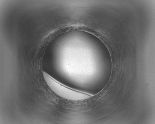 X0000065241398200602170942