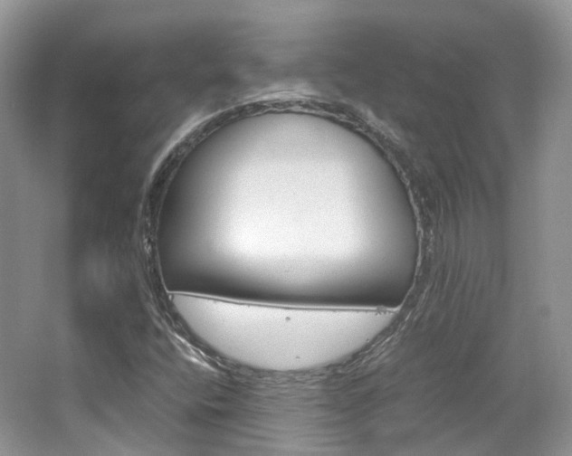 X0000065241400200602170942