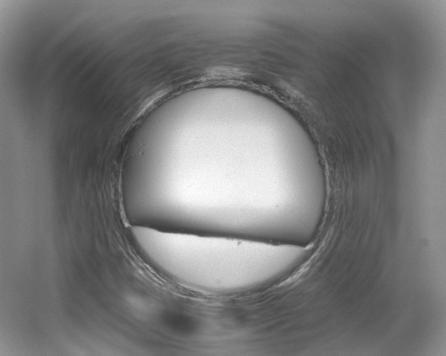 X0000065241401200602170942