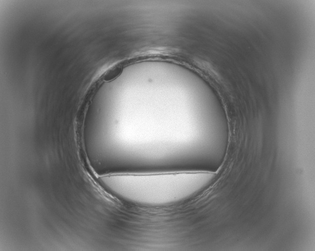 X0000065241404200602170942