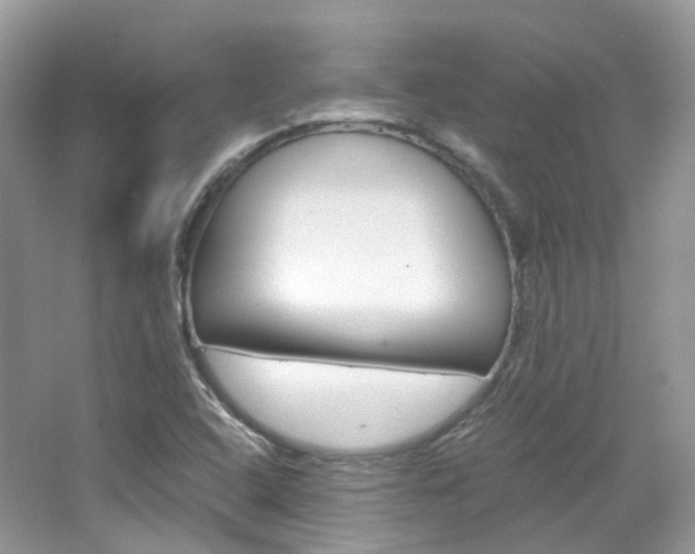 X0000065241408200602170942