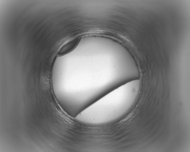 X0000065241409200602170942