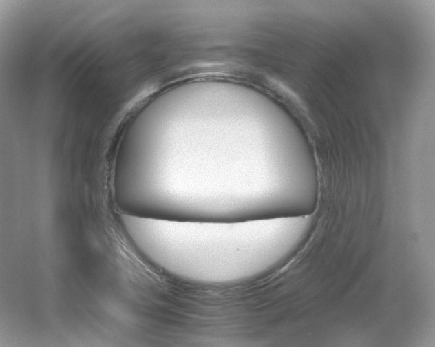 X0000065241411200602170942