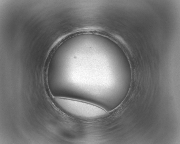 X0000065241412200602170942