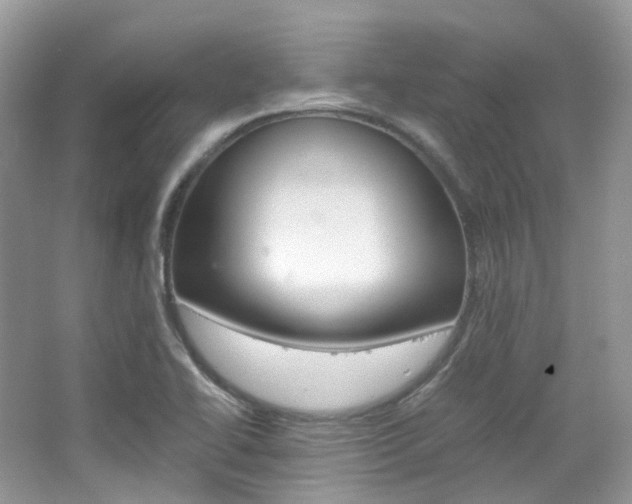 X0000065241414200602170942