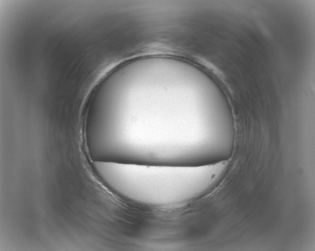 X0000065241415200602170942