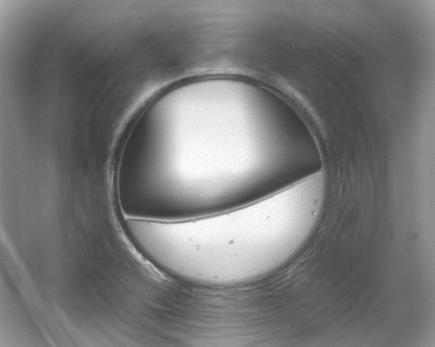 X0000065241416200602170942