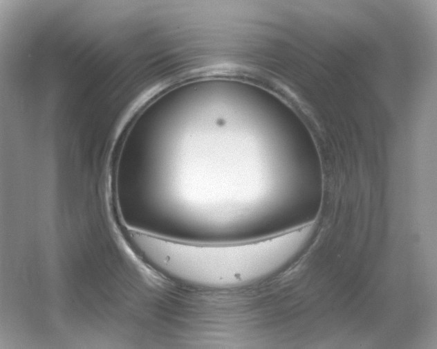 X0000065241418200602170942
