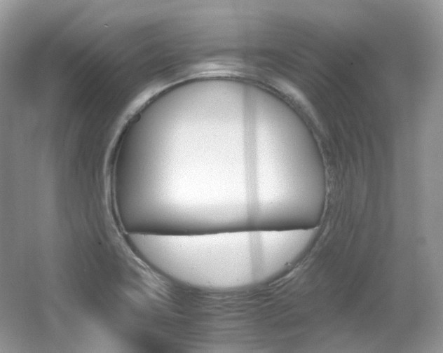 X0000065241419200602170942