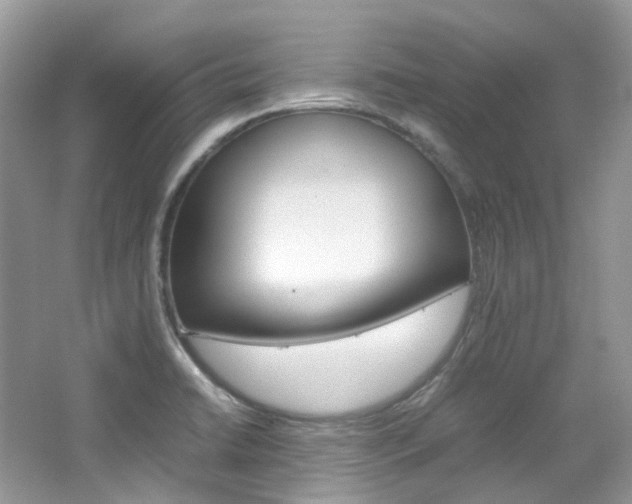 X0000065241422200602170942