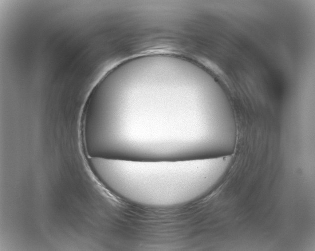 X0000065241423200602170942